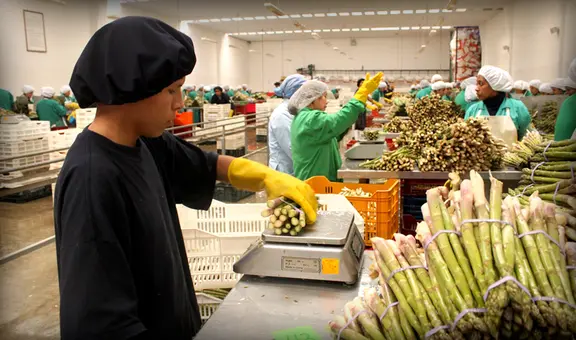 Número de empresas exportadoras incrementó en 3% hasta noviembre de 2023