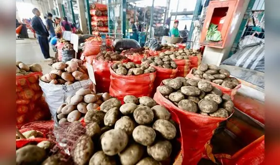 La oferta de papa se ha duplicado esta semana en Lima: precios deberían precipitarse