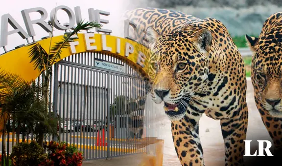 Parque de las Leyendas: ¿cuál es el precio de entradas y cómo comprar por internet?