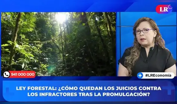 Ley Forestal. Lucila Pautrat: “Se han deforestado aproximadamente 11 millones de hectáreas a nivel nacional