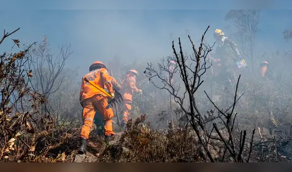 [EN VIVO] Incendio forestales Colombia HOY: departamentos se declaran en emergencia por altas temperaturas