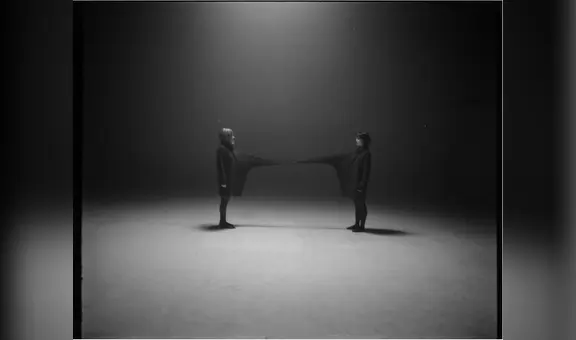 STILL (2024): Una Reflexión Visual sobre la Belleza