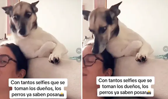 Perrita enternece al posar para que le saquen un selfie y usuarios dicen: “Toda una modelo”