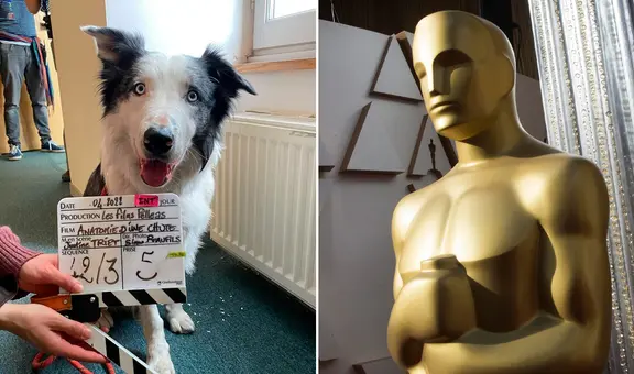 Messi, el perro actor que compite en los Premios Oscar 2024 y que podría vencer a ‘Oppenheimer’