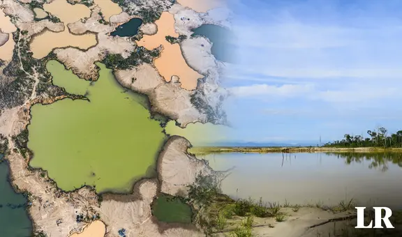 Madre de Dios: bosques amazónicos se están convirtiendo en humedales por minería ilegal