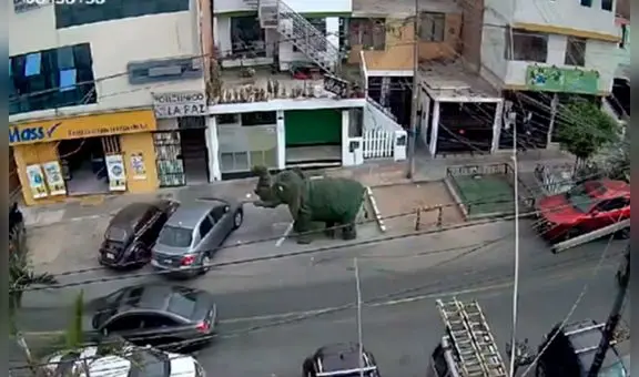 Ventanilla: bandas criminales desatan balacera por cobro de cupos en obra de construcción