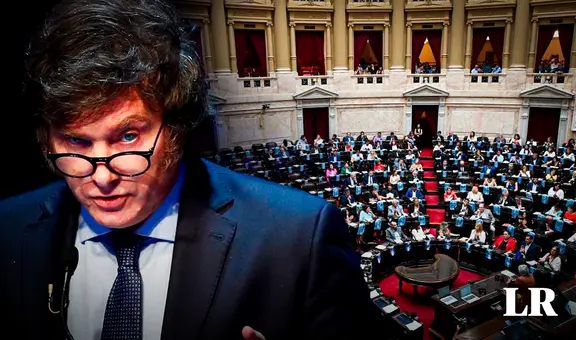 Diputados en Argentina aprueban en general 'Ley Ómnibus': ¿qué significa?