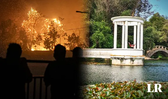 Incendios en Viña del Mar consumen el Jardín Botánico y dejan 4 muertos