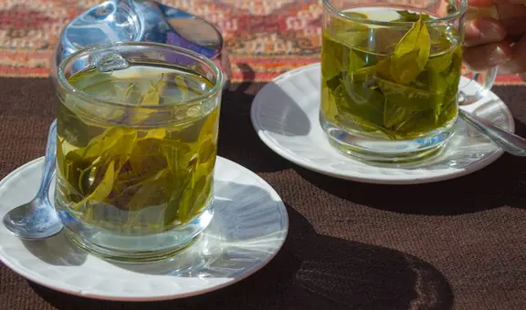 Mate de coca entre las 20 peores bebidas de Sudamérica, según Taste Atlas