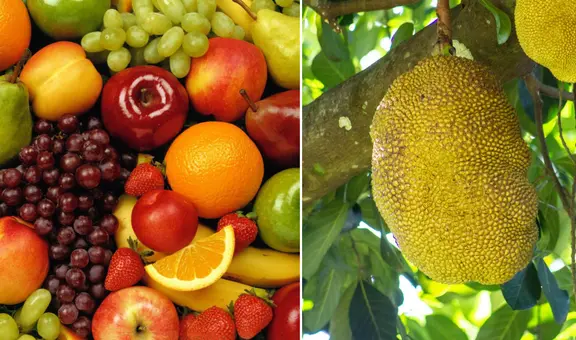 La tropical fruta de 7 sabores que ayuda a prevenir el cáncer y aporta vitamina C de manera natural