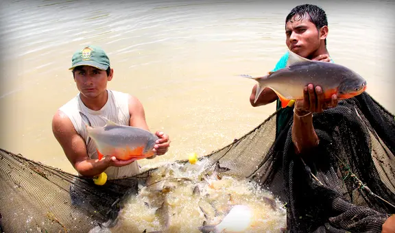 Fondepes prevé capacitar a más de 15.000 acuicultores y pescadores artesanales en 2024