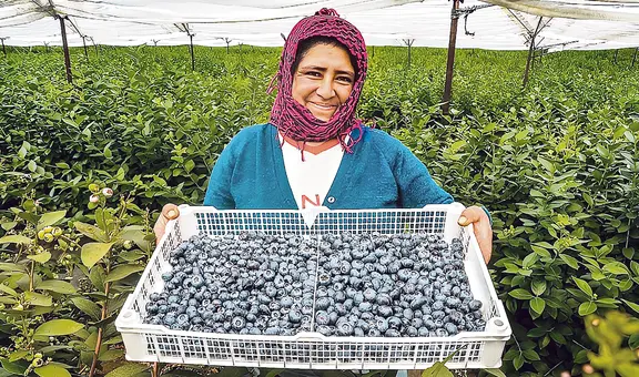 Exportaciones batieron récord pese a adversidades