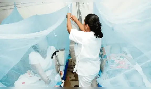 Alerta por casos de dengue en Cusco: 1 fallecido y 272 casos en La Convención