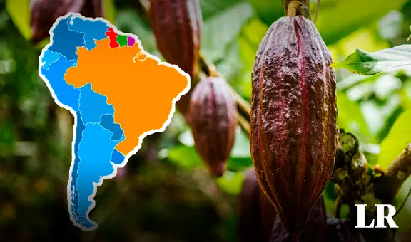 El mejor chocolate del mundo está en Sudamérica: superó a 50 países y se coronó con el máximo galardón