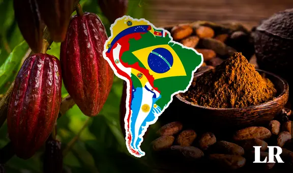 El mejor chocolate del mundo está en Sudamérica: superó a 50 países y se coronó con el máximo galardón
