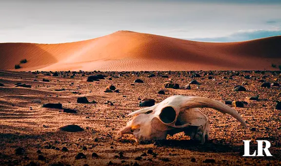 ¿Sabias que un desierto en América es el segundo lugar más caluroso del mundo?: marcó récord de 80.8°C