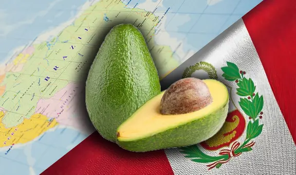 Conoce el país de AMÉRICA LATINA en donde se origina el aguacate: no es PERUANO