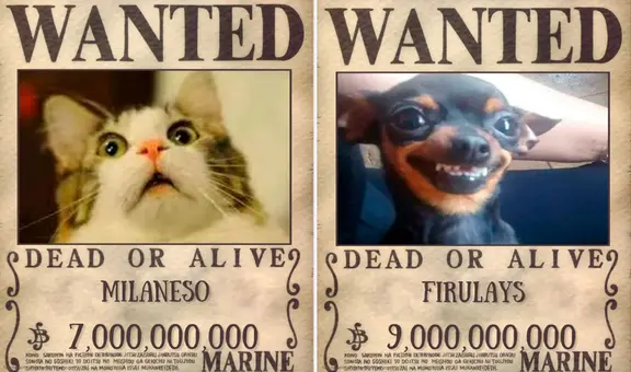 ¿Te gusta 'One Piece'? Así podrás crearles carteles de 'Se busca' a tus amigos sin instalar apps