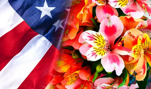 Estados Unidos es el principal mercado de destino de las flores peruanas