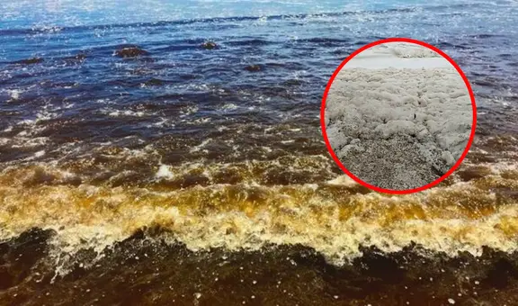 Extraña coloración marrón aparece en el mar desde Pisco hasta Chimbote: ¿a qué se debe este fenómeno?