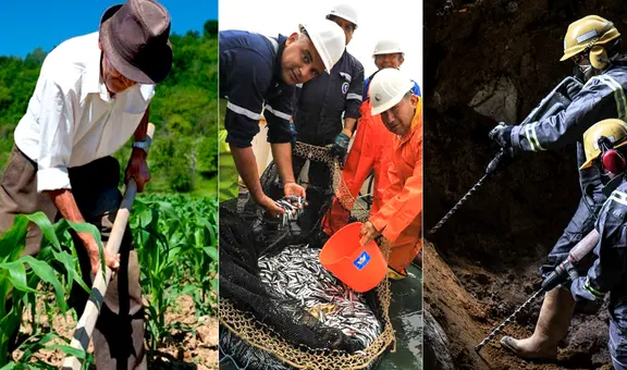 Trabajadores de agricultura, pesca y minería ganan por debajo del sueldo mínimo