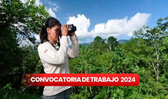 ¿Buscas trabajo? Sernanp te ofrece puestos desde S/2.000 hasta S/9.000