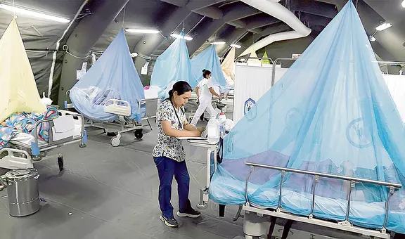 En seis semanas: 21 muertos y 18.000 infectados por dengue