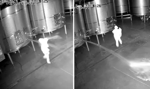 Asaltan bodega y derraman más de 60.000 litros de vino valorizado en US$2,5 millones