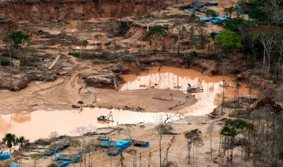 Minería ilegal en Venezuela ocasionó deforestación de un equivalente a 40.000 campos de fútbol