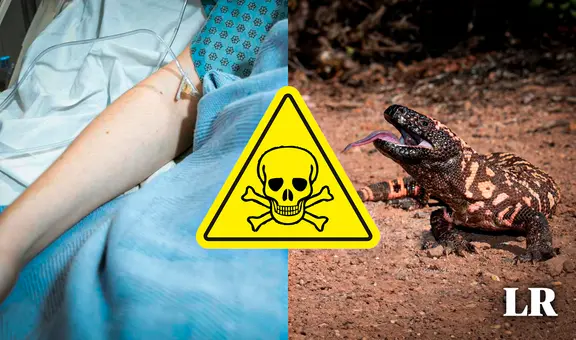 ¡Mordido por un monstruo de Gila! Hombre de 34 años muere al ser atacado por su mascota