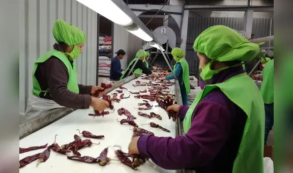 Se perdieron 200.000 empleos en el sector exportación durante 2023