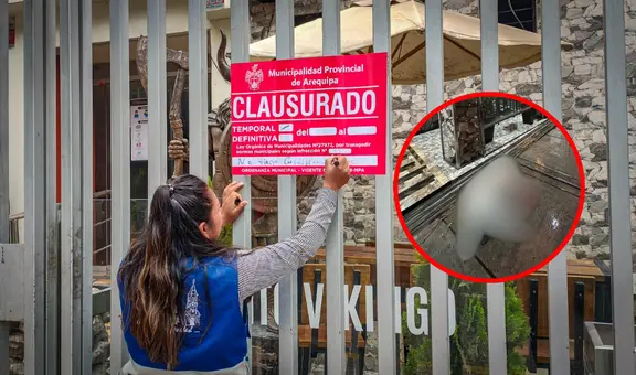 Perrito muere electrocutado tras acercarse a letrero de restaurante y autoridades clausuran local en Arequipa