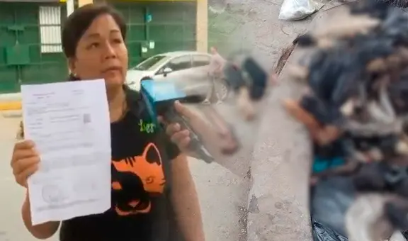 Alarma en SJL: encuentran bolsas llenas con más de 100 colas de perros en plena vía pública