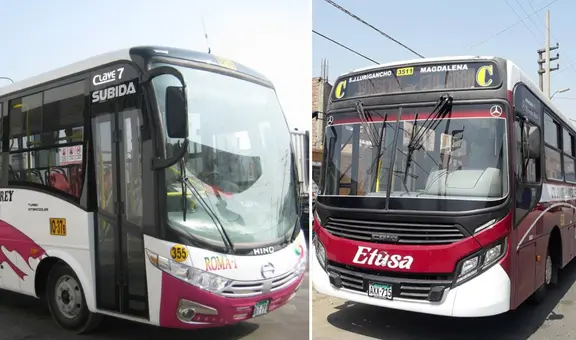 De SJL al centro de Lima: ¿qué empresas de transporte cubrirán la ruta del Corredor Morado?