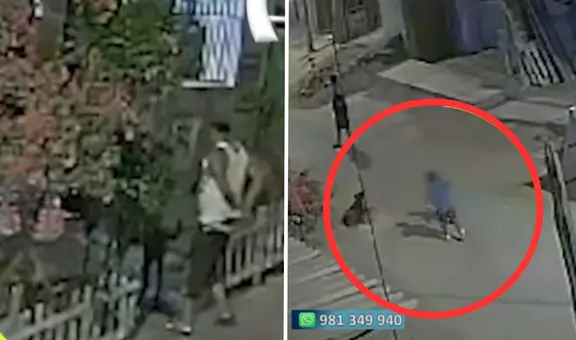 Villa El Salvador: hombre acuchilla y mata a perrito que mordió a su nieto