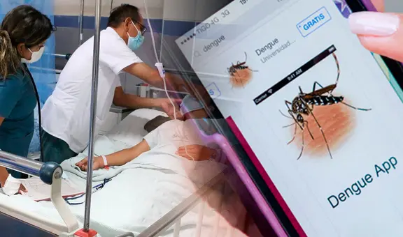 Municipalidad de San Juan de Lurigancho lanzará aplicativo para combatir el dengue: ¿cómo funcionará?