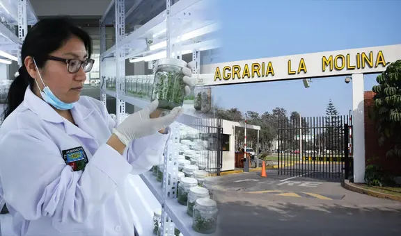 Resultados UNALM del examen de admisión 2024: revisa aquí puntajes y lista de ingresantes