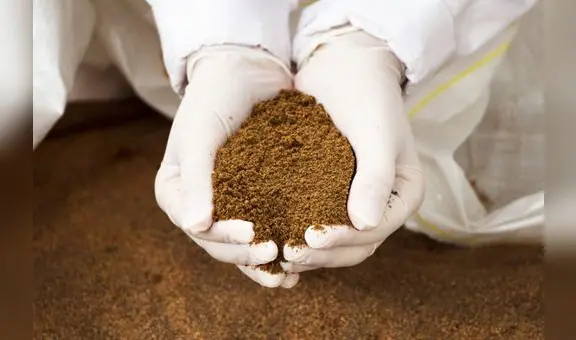 Industriales reiteran pedido para reducir la talla mínima de la anchoveta y salvar harineras