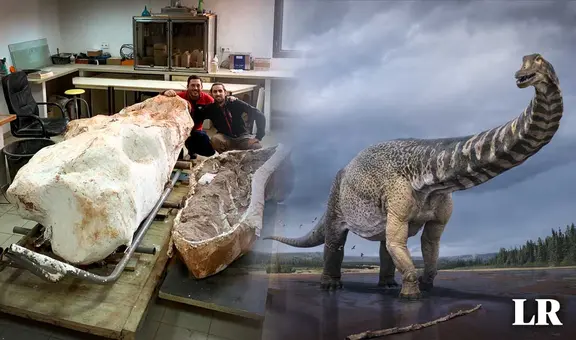 Increíble hallazgo: encuentran esqueleto de titanosaurio de 70 millones de años en Francia