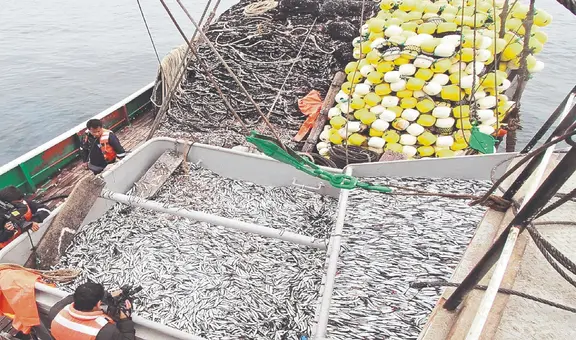 Rebote de la economía llevaría al PBI a 2,7% en 2024