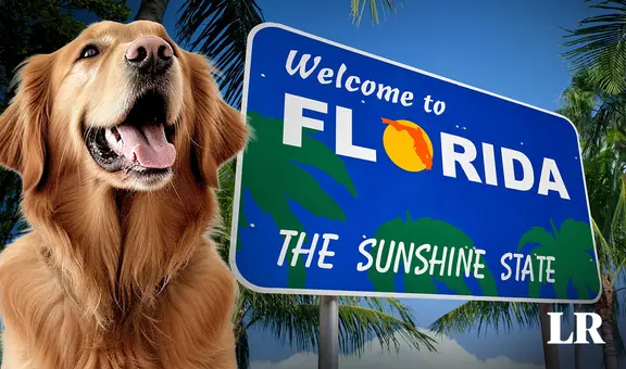 ¿Cuáles son las mejores playas para llevar a tu perro de vacaciones en Miami?