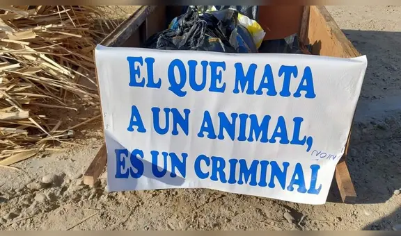 Piura: Policía detiene a hombre tras ultrajar y causar la muerte a una perrita