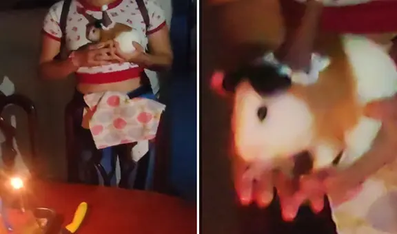 Familia venezolana le celebró cumpleaños a su cuy y en redes bromean: “En Perú, sería la torta”