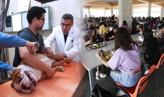 UNMSM: ¿cuáles son los servicios a bajo costo que ofrece para los estudiantes y público en general?