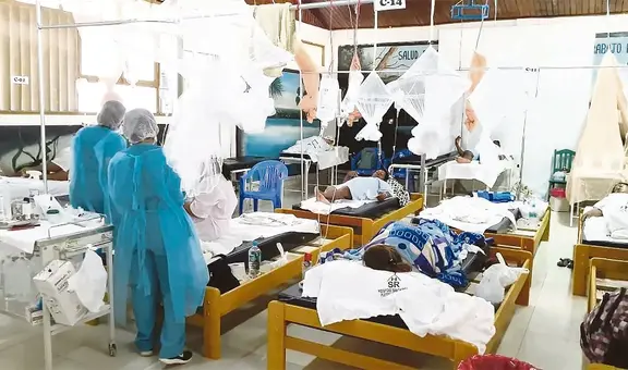 No se dan abasto: La Libertad, Piura e Ica colapsan por el dengue