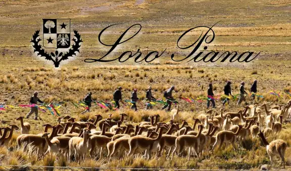 ¿Cuál fue la respuesta de Loro Piana ante reclamo de legislador de EE.UU. por explotación a comunidad peruana?