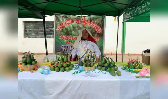 Conoce cómo puedes obtener financiamiento para tu negocio con Procompite