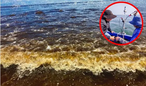 Reportan 'marea roja' en playas de Pisco: ¿qué es este fenómeno y por qué es peligroso?