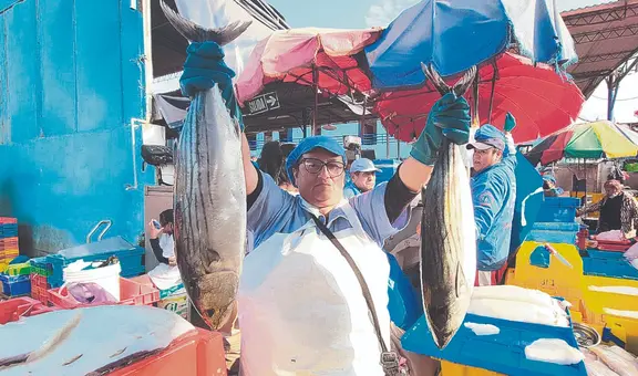 Consumo de pescado se triplicará en Semana Santa