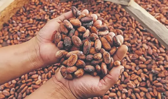 Envíos peruanos a la Argentina impulsados por Gobierno de Milei